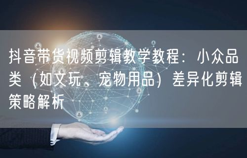 抖音带货视频剪辑教学教程：小众品类（如文
